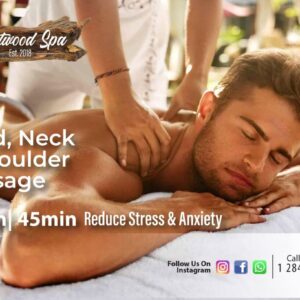 DRIFTWOOD SPA - head, neck & Shoulder Massage - 540 1526