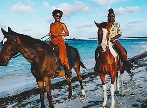 BONITA - Horse Riding